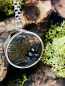 Preview: Wald