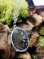 Preview: Wald