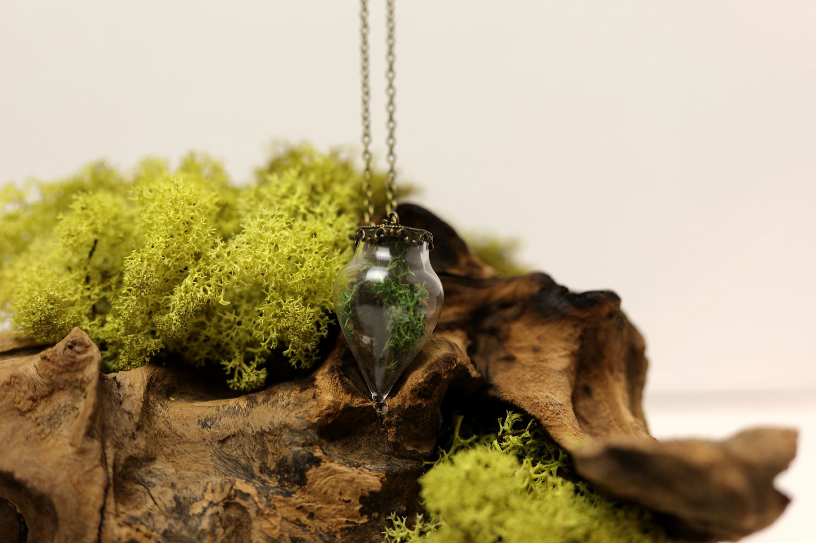 Wishbottle