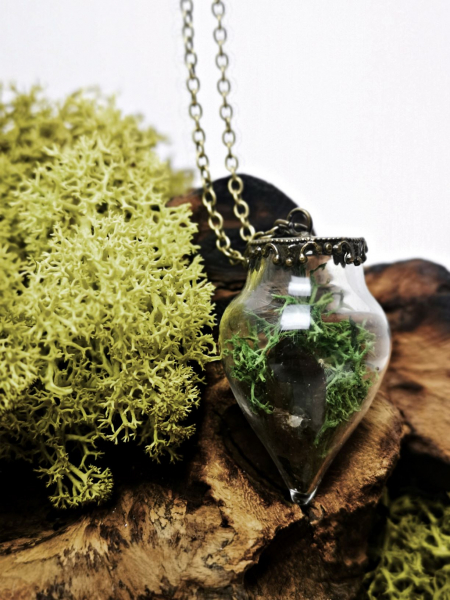 Wishbottle