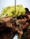 Fairy Dust